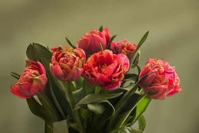 flowerpot, office flowers, bouquet