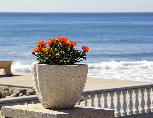 flowerpot, office flowers, bouquet