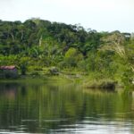 Vibrant Amazon River teeming with wildlife.