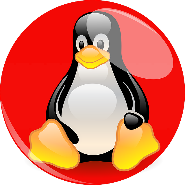 Ubuntu Linux LTS releases get up to 12 years of support – BetaNews