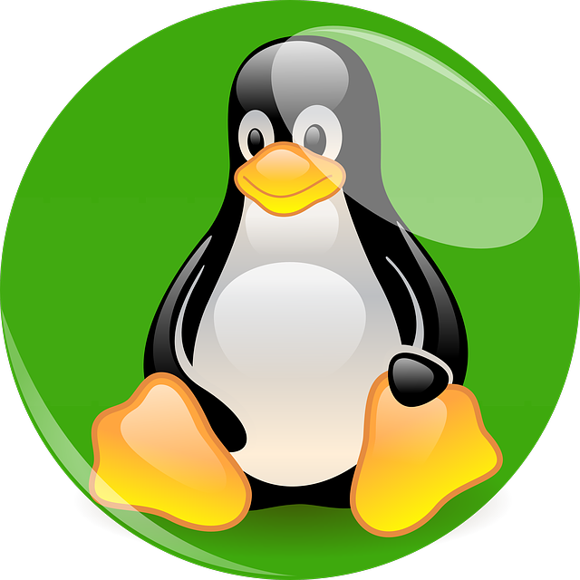 Switch from Microsoft Windows 11 to Nitrux Linux 3.5.0 – BetaNews