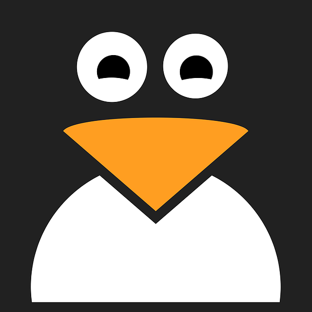 Canonical pulls the plug on funding for Kubuntu Linux – Liliputing
