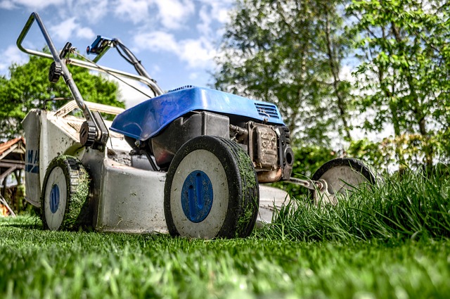  A lush, vibrant Bermuda grass lawn under a clear blue sky, showcasing its resilience and aesthetic appeal.