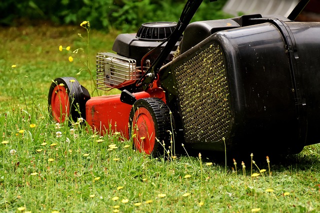  A lush, vibrant Bermuda grass lawn with harmonious garden beds under a bright sunny sky.