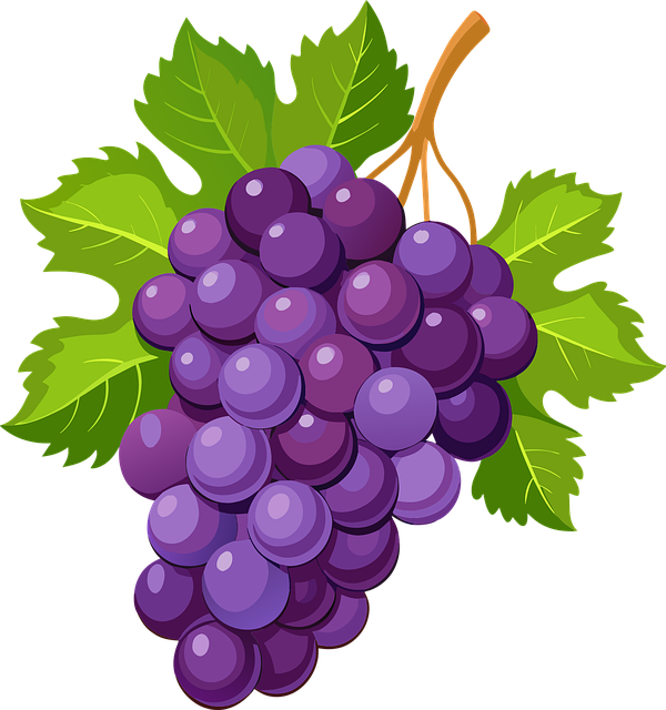 grapes-640x480-84396486.png