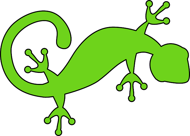 gecko-lizard-640x480-476400.png