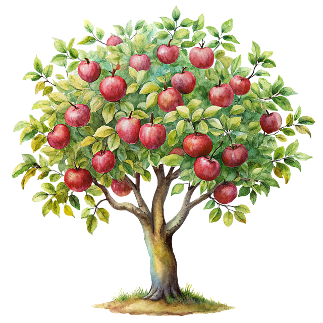 granny-apples-640x480-88304471.png