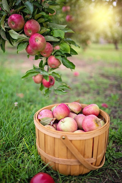 Green Apples