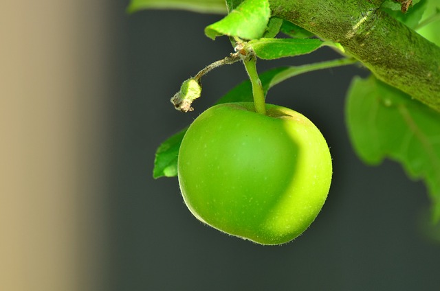 Green Apples