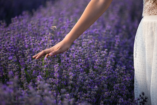 lavender-freshener-fragrance-640x480-40064314.jpeg