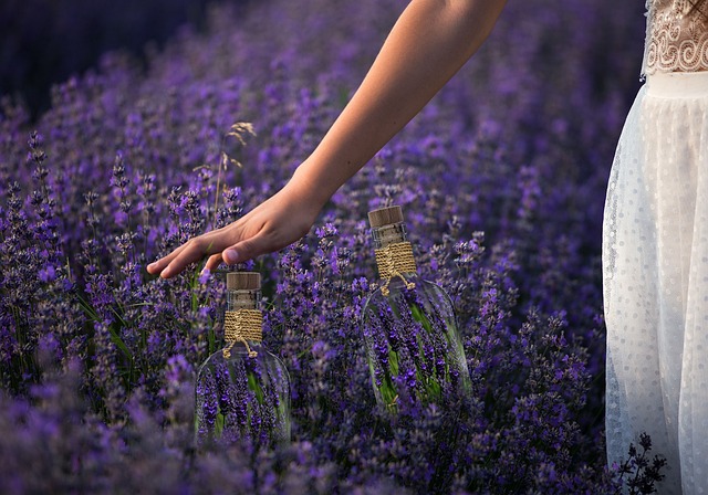 lavender-freshener-fragrance-640x480-9820618.jpeg