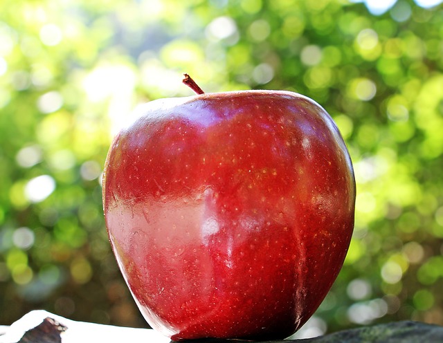 Savoring the Best: A Guide to Red Apple Varieties and Flavors