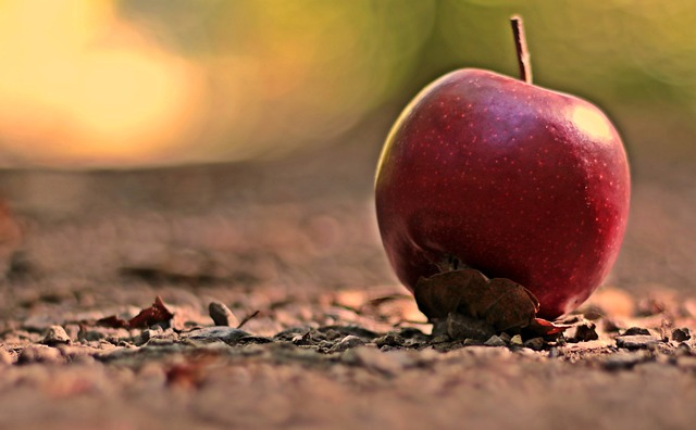 Optimizing Growth: The Fastest Red Apple Varieties and Their Cultivation Secrets