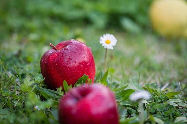 Red Apples