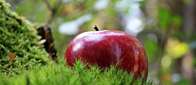 red-apples-640x480-39784837.jpeg