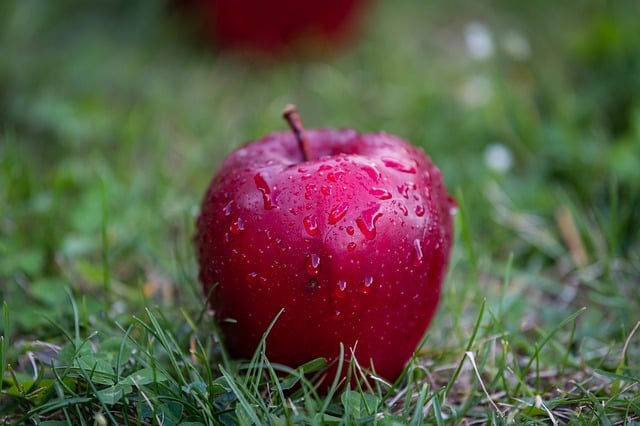 red-apples-640x480-70722394.jpeg