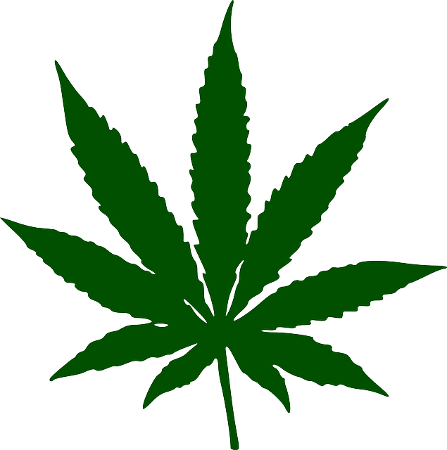 cannabis-weed-marijuana-640x480-19292304.png