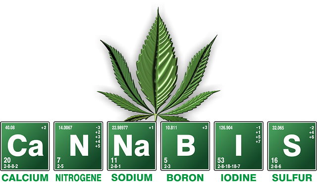 cannabis-weed-marijuana-640x480-20103775.png