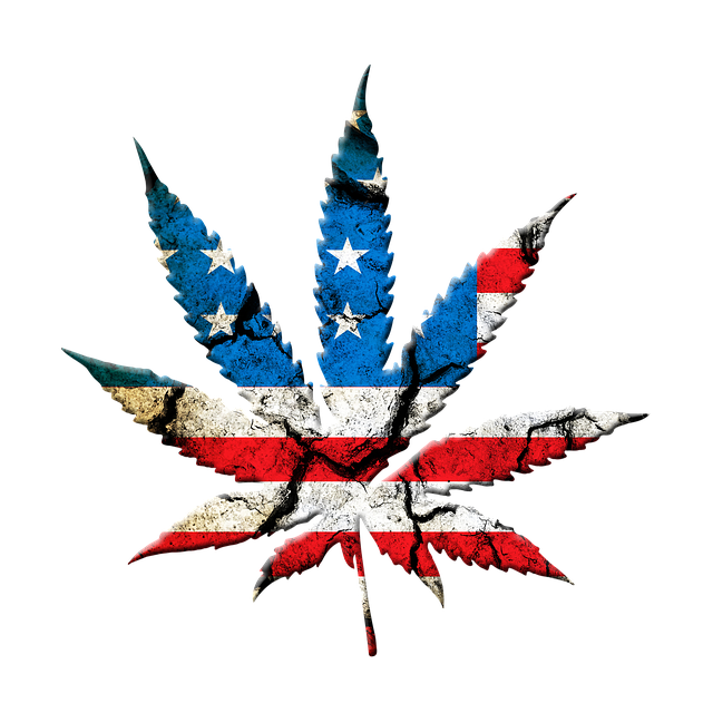 cannabis-weed-marijuana-640x480-21291257.png