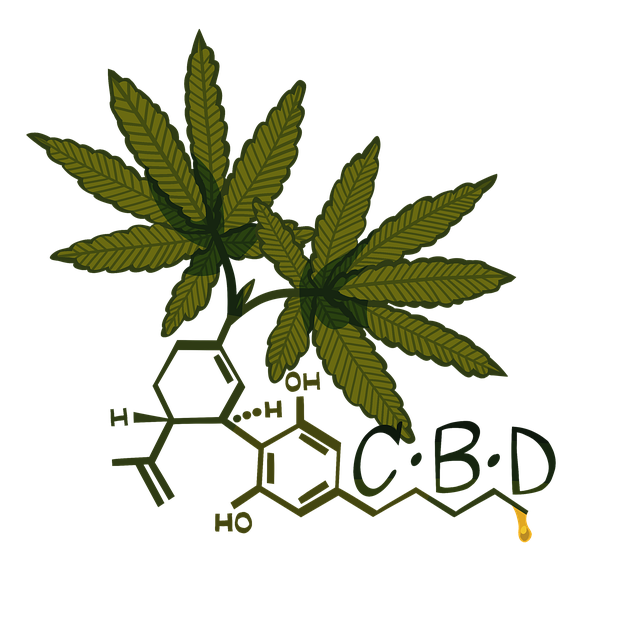 Exploring the Healing Potency of THCA Buds for Natural Relaxation