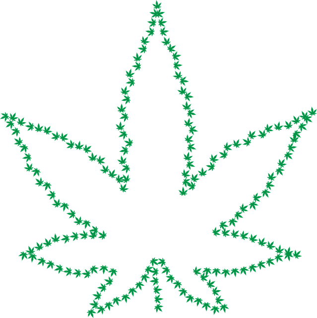 cannabis-weed-marijuana-640x480-50345029.png