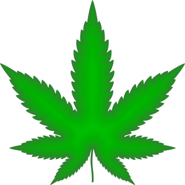 cannabis-weed-marijuana-640x480-63226306.png