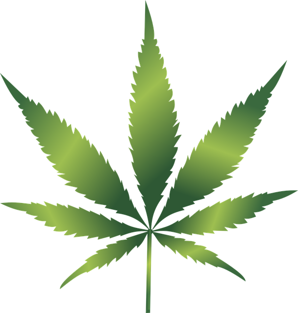 cannabis-weed-marijuana-640x480-76983850.png