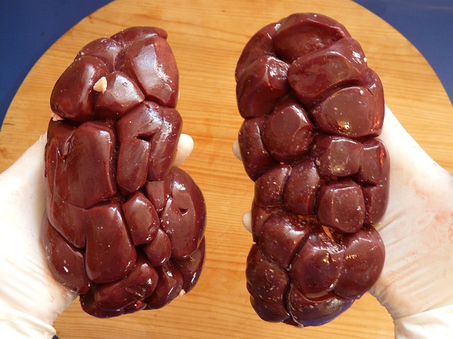 pulses, kidney beans