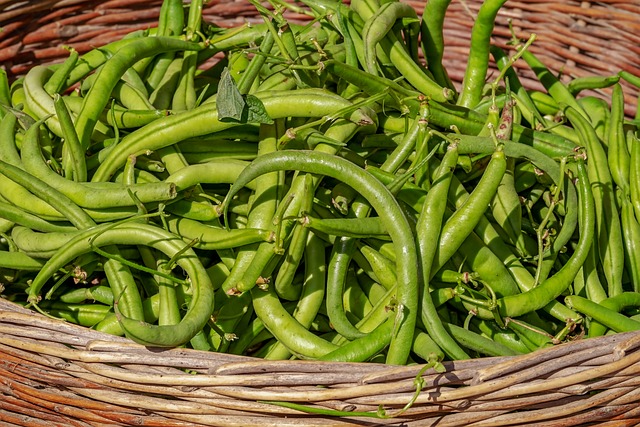 pulses, kidney beans