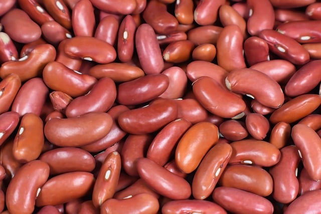 pulses, kidney beans