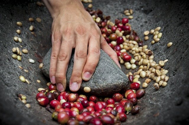 From Origins to Nutritional Gains: The Complete Guide to Kidney Beans in Health and Cuisine