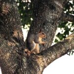 20% Off Premium Ergonomic WFH Chairs – Elevate Comfort & Productivity Today!