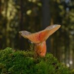 ? Enhance Your Workday Comfort & Save on Premium Chairs!