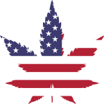 Maximizing THCA Rich Hemp Buds Sale: A User’s Guide to Benefits and Usage