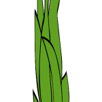 Exploring the Potential of THCA-Rich Hemp Buds: A Guide for Consumers