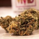 Optimizing THCA Potential: A Comprehensive Guide to Wholesaling High-Grade Cannabis Buds