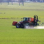 Exploring THCA Flower Benefits: The Rise of THCA Infused Edibles for Health and Wellness