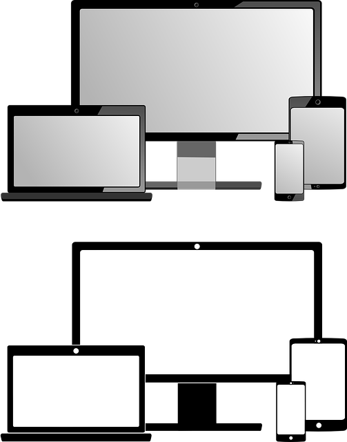 Mastering Niche Authority: PBNs for Credible Domain Expertise