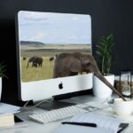 Maximizing Niche Authority: PBN Strategies for Establishing Credibility