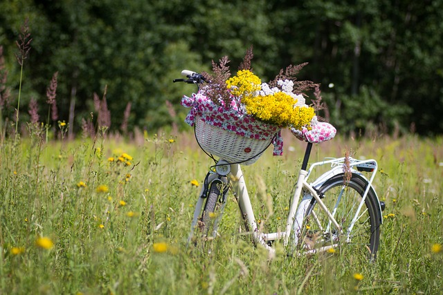 cycling