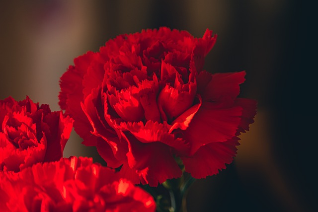 Office Flowerpots: A Guide to Greening Your Desk for Wellness and Productivity