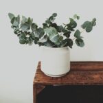 Thriving Offices: Integrating Flowerpots for Enhanced Productivity and Wellness