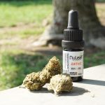 Exploring THCA Flower Benefits and Effects for Wellness