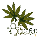 Exploring THCA Buds for Relaxation: Side Effects and Safe Usage