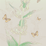 Exploring THCA Flower Potency: A Natural Precursor to Cannabis Effects