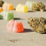 THCA Flower and Anxiety Relief: Identifying Effective Strains and Safe Usage Practices