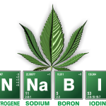 Exploring THCA Flower: Natural Pain Relief Through Science and Strain Selection