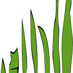 Exploring THCA Flower: Natural Remedies for Stress Relief