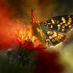 THCA Bud vs. CBD Bud: Weighing Benefits and Side Effects