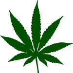 Maximizing Stress Relief with THCA Flower: A Guide to THCA Buds